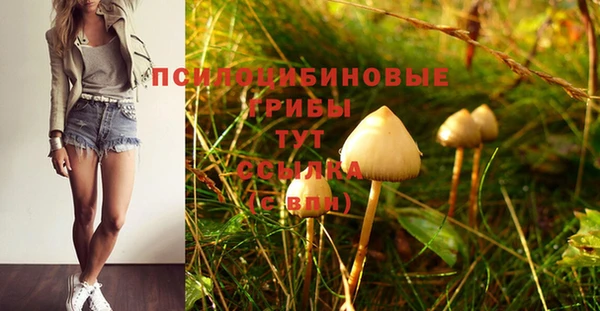 герыч Бородино