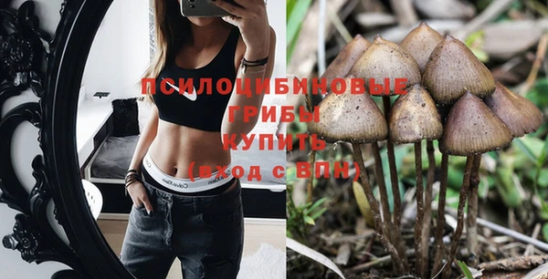 Альфа ПВП Бугульма