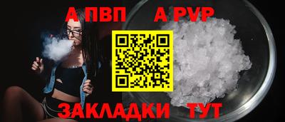 jwh Кингисепп
