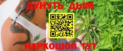 jwh Кингисепп