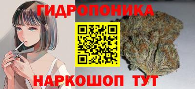 крисы Кимры