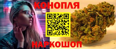 jwh Кингисепп