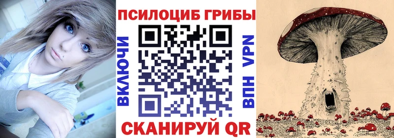 Галлюциногенные грибы MAGIC MUSHROOMS купить сайты Буйнакск