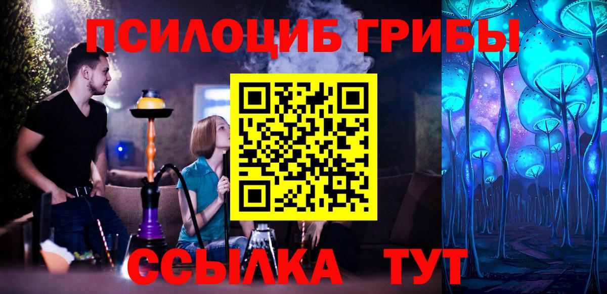 Галлюциногенные грибы Psilocybine cubensis  купить закладку  Вход с VPN  Буйнакск  Галлюциногенные грибы Psilocybe 
