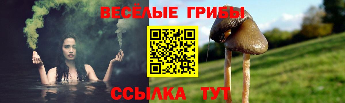 Галлюциногенные грибы Magic Shrooms  Галлюциногенные грибы мицелий  Буйнакск 